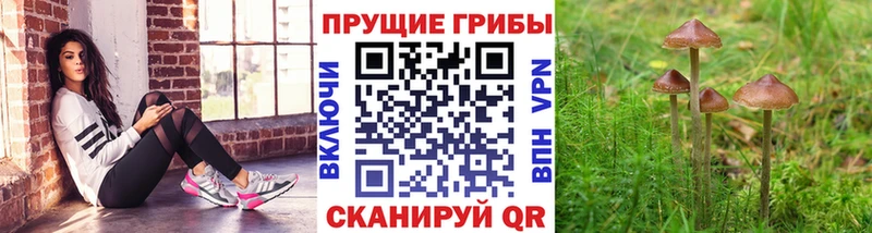 Купить закладки  Фёдоровский  Псилоцибиновые грибы MAGIC MUSHROOMS 